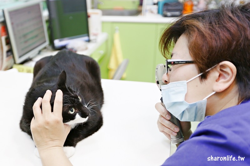 台中 | 劍橋動物醫院 南屯推薦動物醫院 心臟超音波檢查 寵物健康檢查更精確
