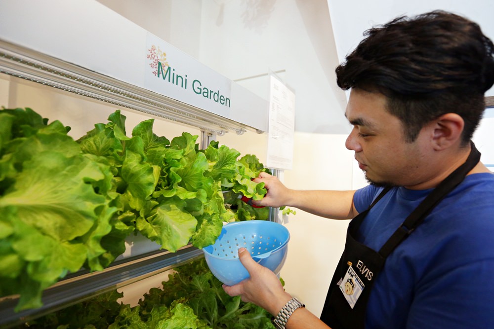 林倍咖啡 台中有禮貌咖啡店 沙拉現點現採超新鮮 有插座充電和免費小零食