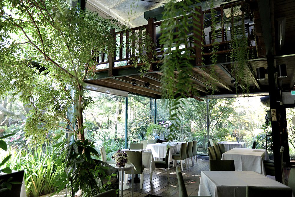 新社庭園餐廳 千樺花園 綠意玻璃屋品法式料理 綠樹光影間享自在慢活