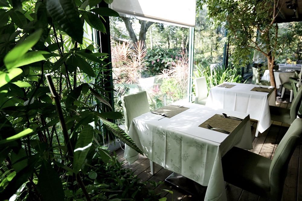 新社庭園餐廳 千樺花園 綠意玻璃屋品法式料理 綠樹光影間享自在慢活
