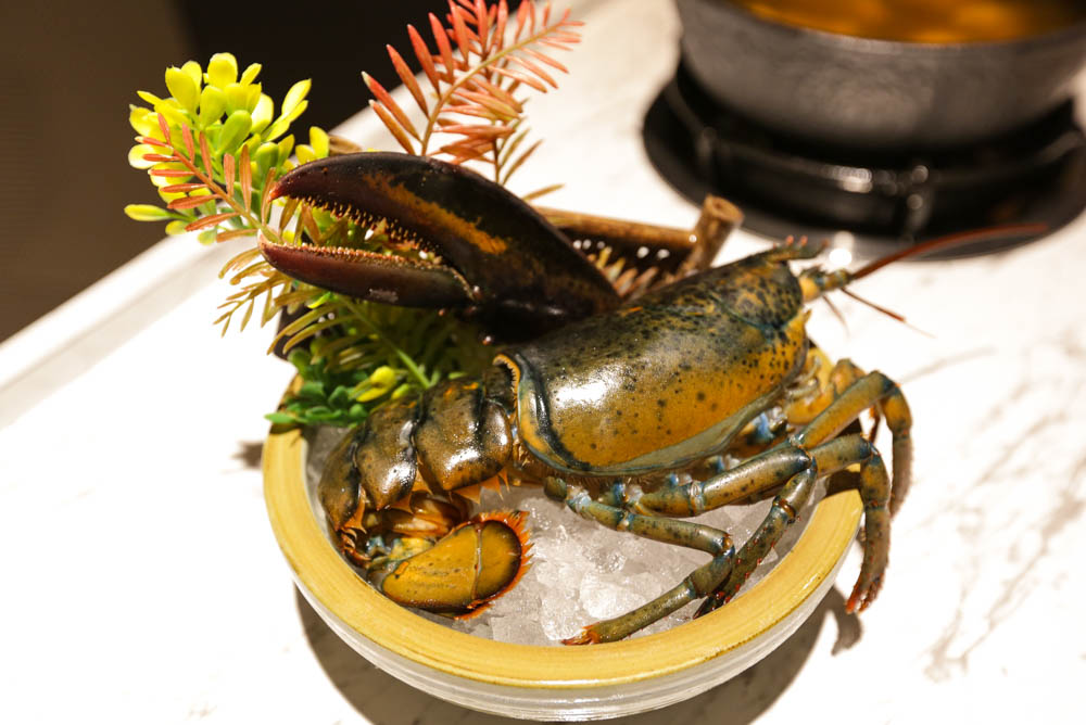 台中活龍蝦個人鍋 獨享鮮跳龍蝦 就算一個人也要吃好料 源鍋精緻鍋物