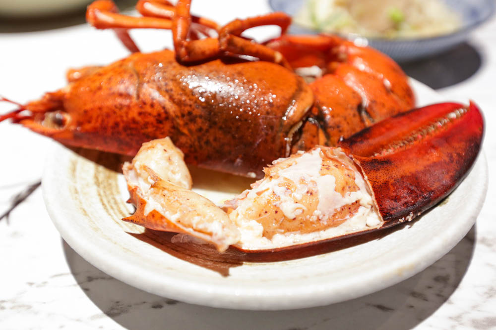 台中活龍蝦個人鍋 獨享鮮跳龍蝦 就算一個人也要吃好料 源鍋精緻鍋物