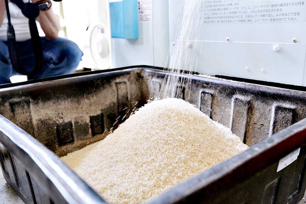 聿犁聯邦農業 光合稻子 花蓮小農聯合品牌 有生命力的好米從產地直送你家餐桌