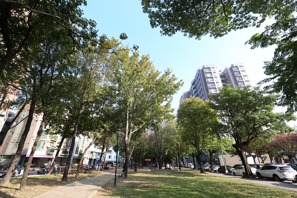 台中北區造鎮宅 皇普莊園 坐擁雙公園 興進路綠園道就在隔壁