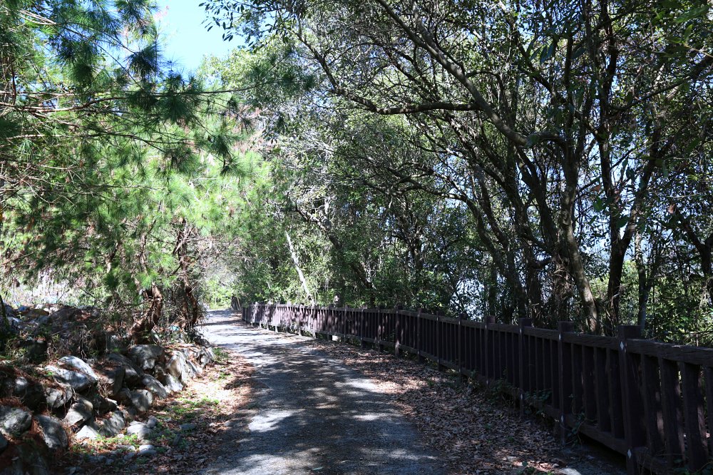 谷關景點 德芙蘭步道 被林蔭包圍的綠色步道 谷關必訪溫泉步道