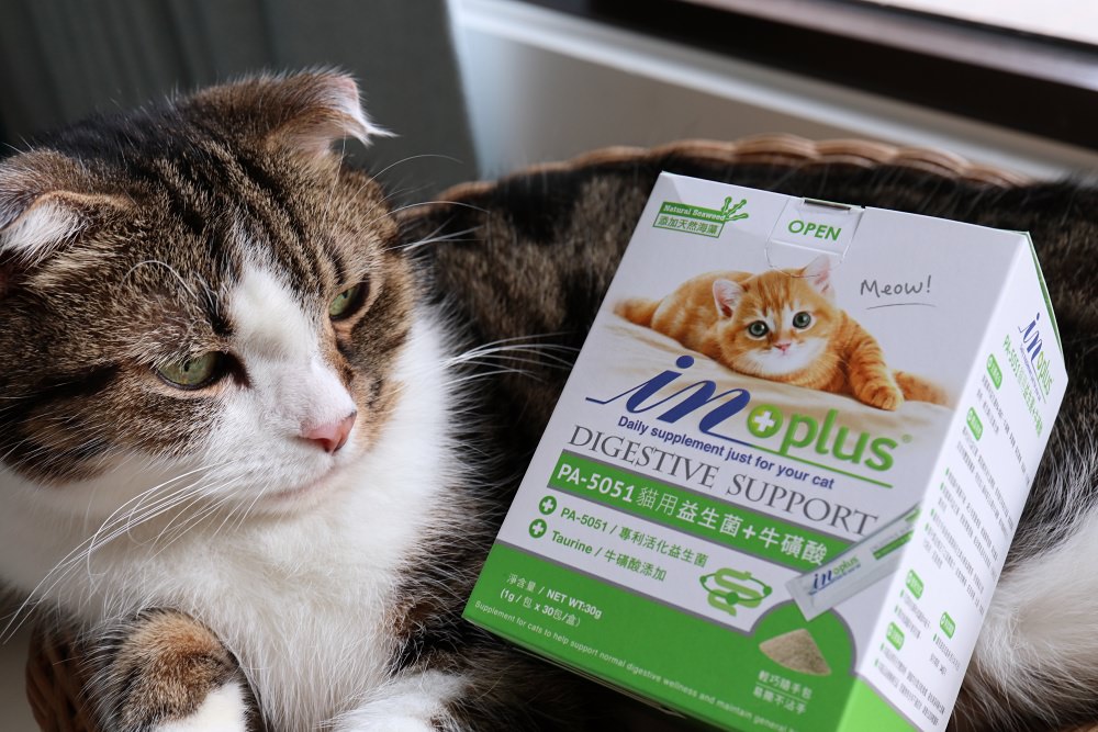 IN-Plus 貓用益生菌保養品 貓咪腸胃道也需要好菌保養 還添加牛磺酸喔！