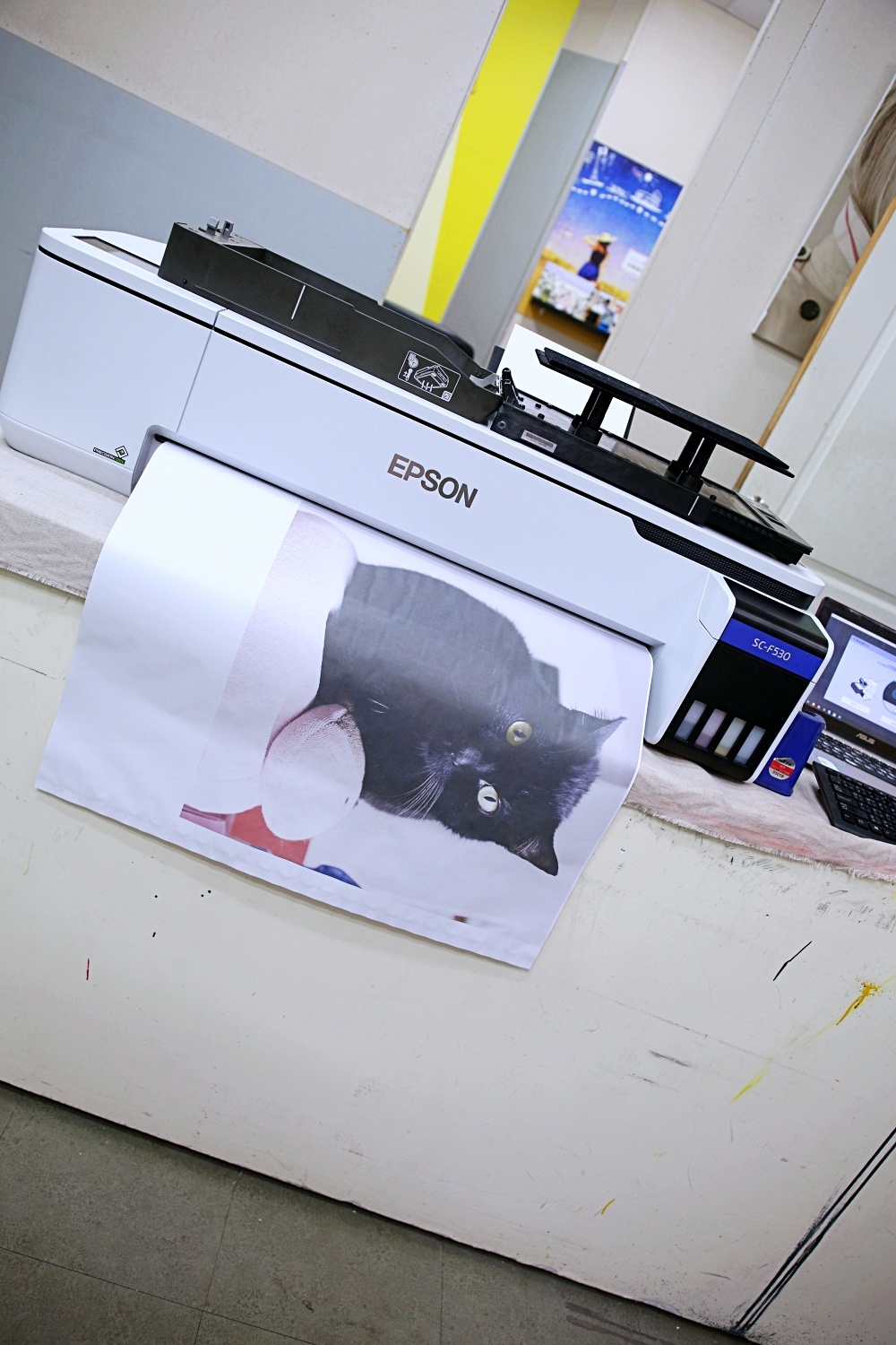 客製化抱枕圖案印刷-數位印表機推薦