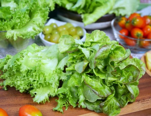 NICE GREEn美蔬菜 只需洗手不需洗菜 即食生菜清甜鮮嫩 適合溫沙拉、綠拿鐵