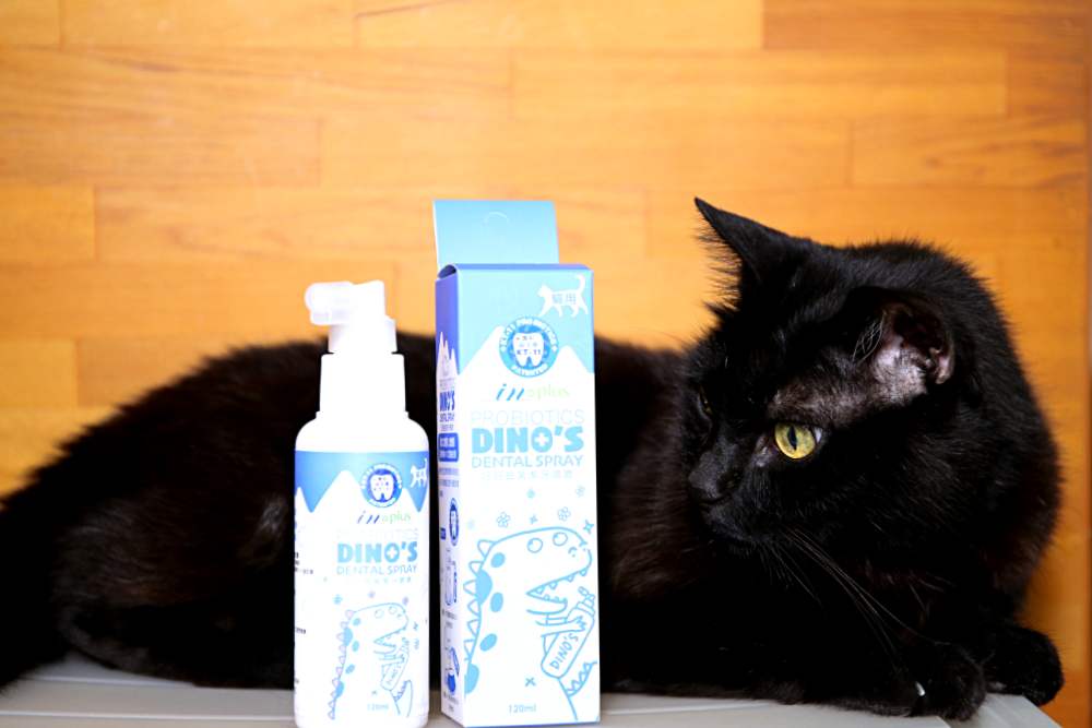 IN-Plus好好益菌潔牙噴噴 用噴的、加在水裡都行 保護貓口腔健康就這麼簡單！