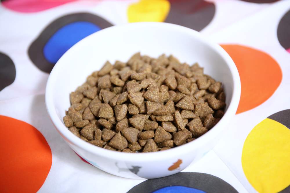 新萃 NutriSource 天然寵糧 NS經典鮮肉 DFA星級&WDJ雙推薦無穀貓飼料 無FDA召回紀錄！