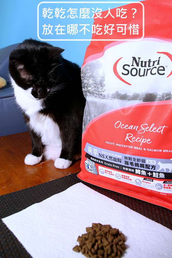 新萃 NutriSource 天然寵糧 NS經典鮮肉 DFA星級&WDJ雙推薦無穀貓飼料 無FDA召回紀錄！