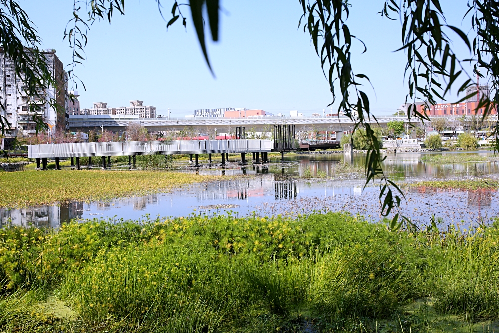 台中車站周邊景點 帝國製糖廠湧泉公園，台中萬坪大公園裡的日本歷史建築