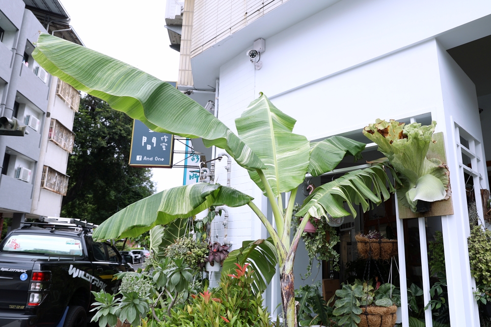 植間森林 | 柳川畔的觀葉植物店，台中雨林植物 彩芋葉大集合，近第五市場