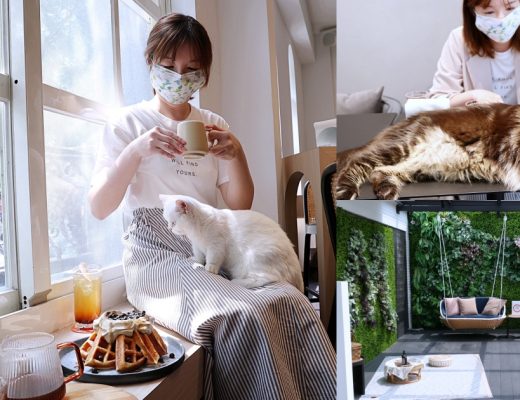 喵屋專業咖啡 | 網美系貓咖啡廳，20隻親人貓咪陪伴超療癒，精品咖啡香氣好迷人！