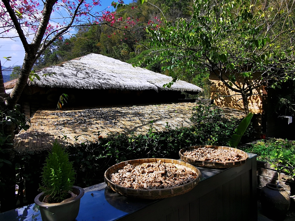 HANA廚房 | 遺落在阿里山裡的美食秘境，來吉部落廚房景色絕美，鄒族與南非美食好有特色！