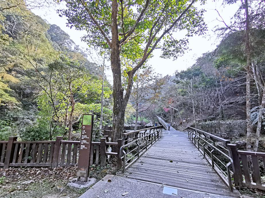 圓潭自然生態園區 | 入門級森林瀑布步道，平坦好走還能賞櫻花賞螢火蟲，嘉義免門票景點