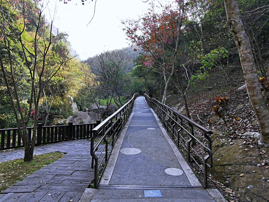 圓潭自然生態園區 | 入門級森林瀑布步道，平坦好走還能賞櫻花賞螢火蟲，嘉義免門票景點