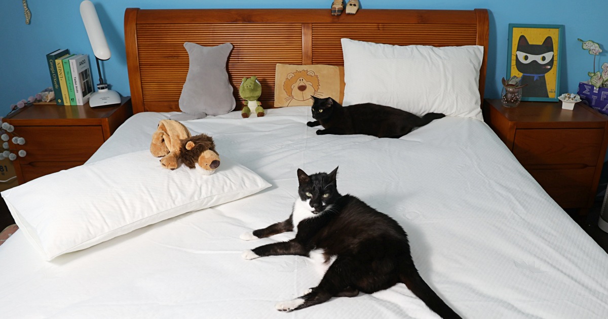 德瑞克名床 | 會呼吸的物理防蟎防水保潔墊，提供10天完整試睡服務，寵物家庭保潔墊推薦！