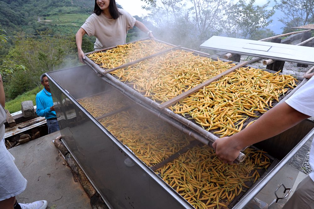 台東太麻里金針山休閒農業區 | 金針山花季到10月中，周邊景點美食住宿推薦