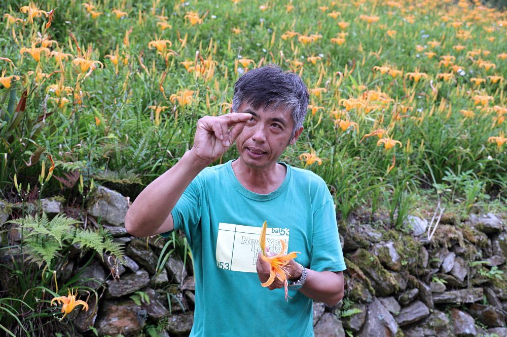 台東太麻里金針山休閒農業區 | 金針山花季到10月中，周邊景點美食住宿推薦