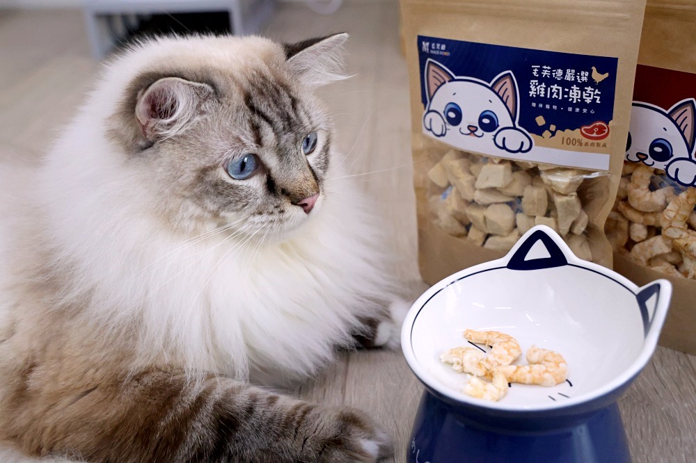 毛芙德 Mao's Food | 適口性好的白藜蘆醇貓咪主食罐，寵物凍乾吃到停不下來，貓咪寵物展推薦