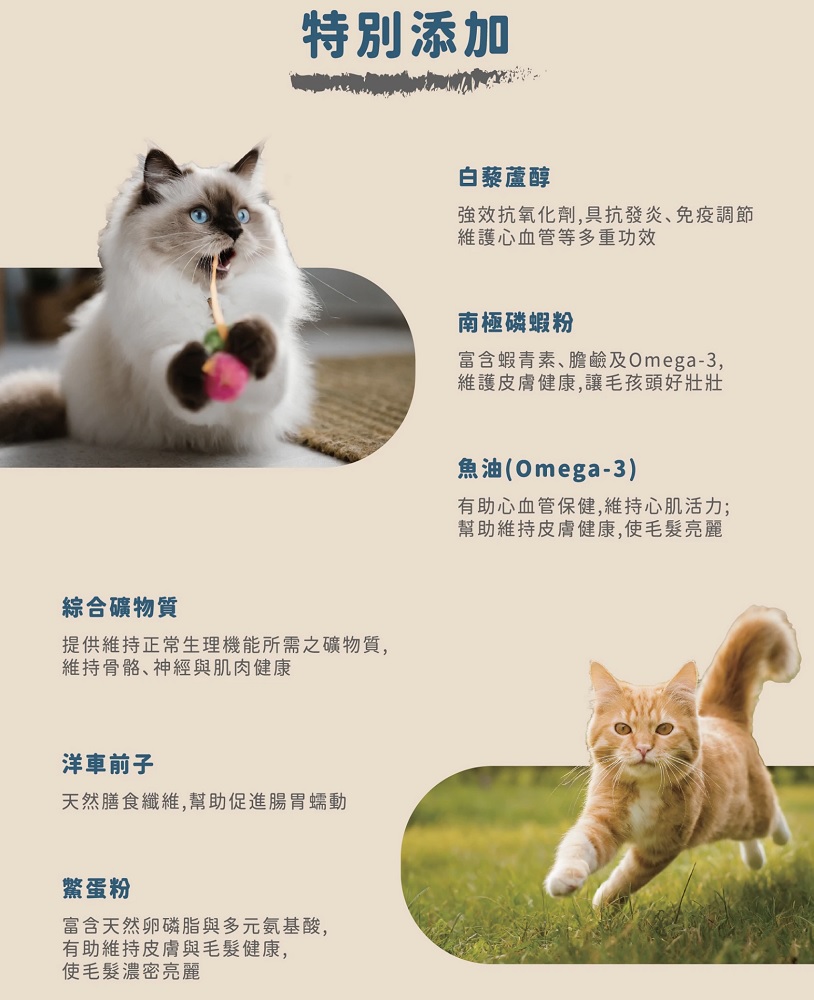毛芙德 Mao's Food | 適口性好的白藜蘆醇貓咪主食罐，寵物凍乾吃到停不下來，貓咪寵物展推薦