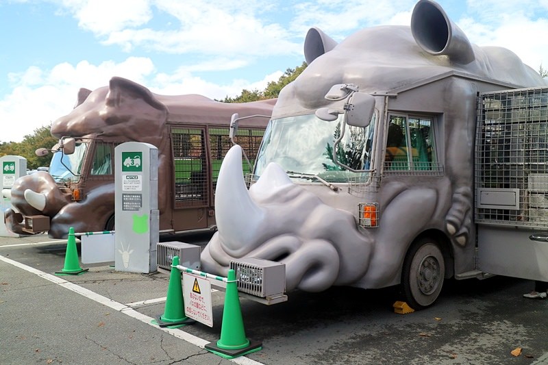 日本 | 富士野生動物園 動物遊園車超可愛 還能體驗親手餵食棕熊