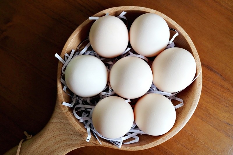 如何挑蛋選蛋才能吃到好雞蛋？藻好蛋教你找好蛋 破除雞蛋三大迷思